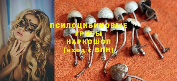 мет Балахна