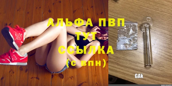 спайс Баксан